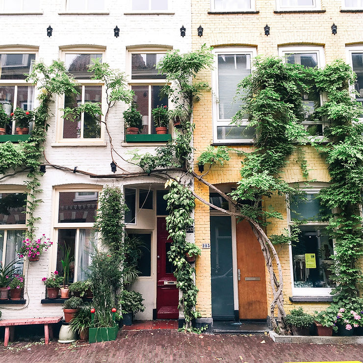 Amsterdam De Pijp Apartment