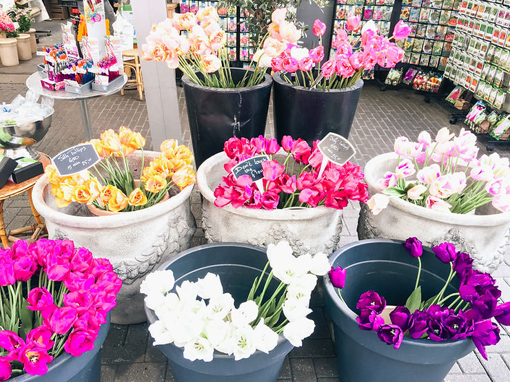 Amsterdam Bloemenmarkt Tulips