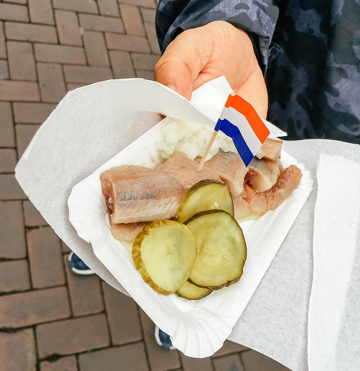 Herring Amsterdam.A Guide to Amsterdam l Travel Guide l A Style Alike l 5 Days in Amsterdam