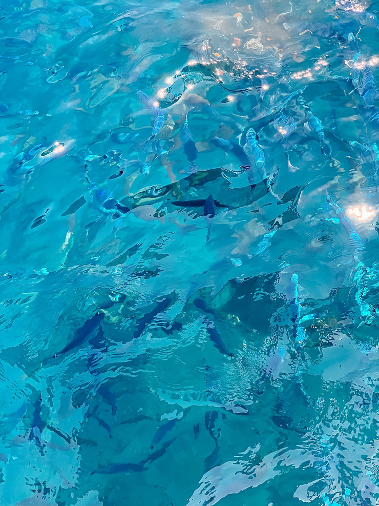 A Guide to Santorini l 4 Days in Santorini l A Style Alike l Travel Guide l Greece