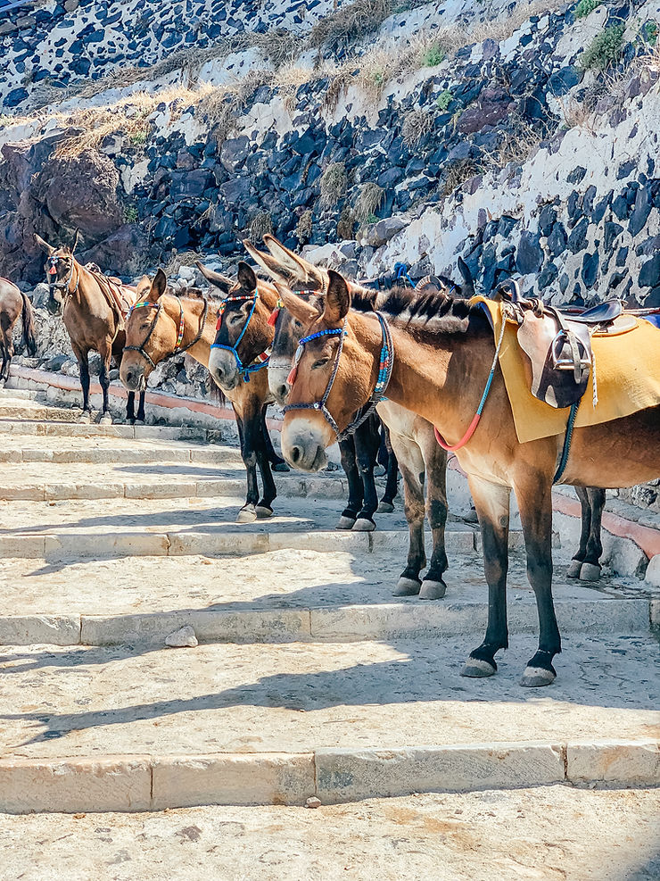 A Guide to Santorini l 4 Days in Santorini l A Style Alike l Travel Guide l Greece