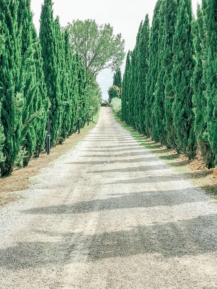 A Guide To Tuscany l Travel Guide l Italy l A Style Alike